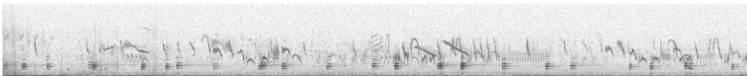 Andean Ibis - ML626241848