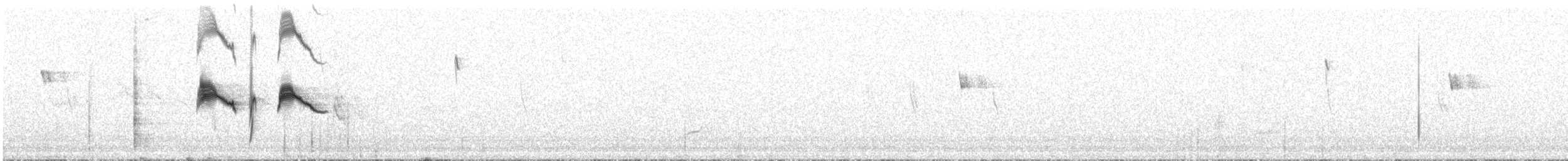 White-winged Black-Tyrant - ML626242367