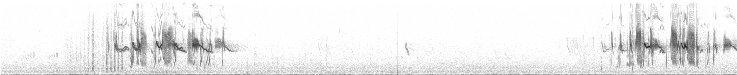 White-winged Black-Tyrant - ML626242433