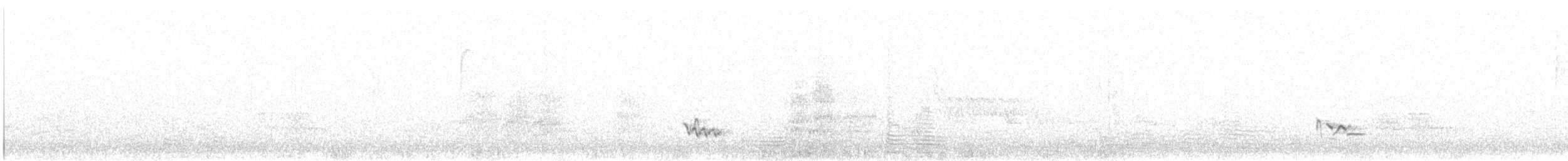 Creamy-bellied Thrush - ML626245176