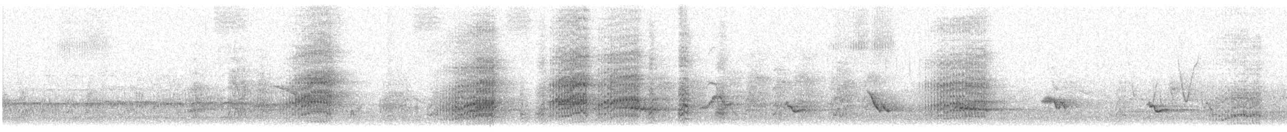 Parrocchetto monaco - ML626245189