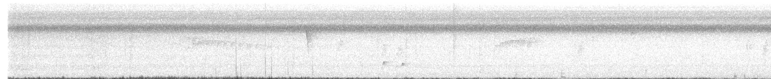 Myiarchus sp. - ML626247630