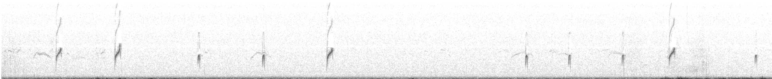 Wilson's Plover - ML626250990