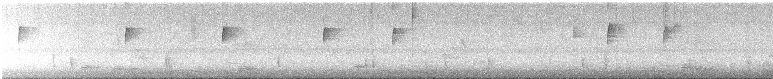 Hermit Thrush - ML626255120