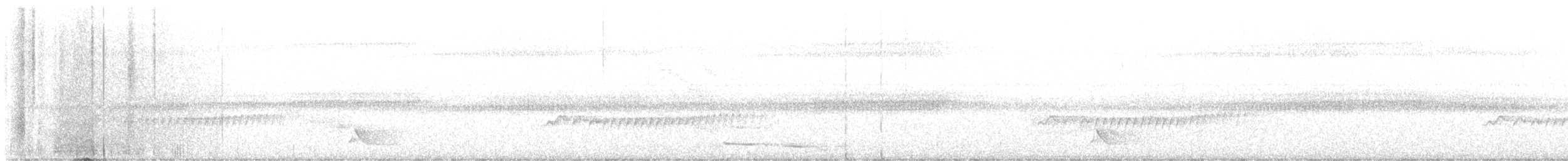 gråhodevireo - ML626255475