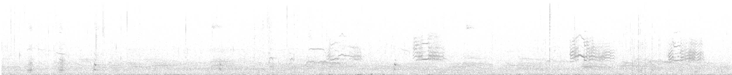 Larus sp. - ML626262437