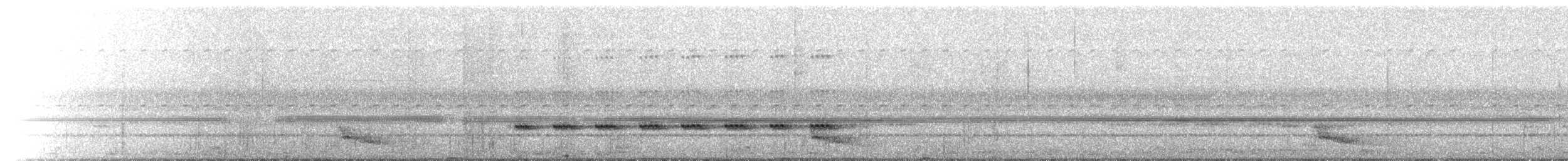 Common Pauraque - ML626266377