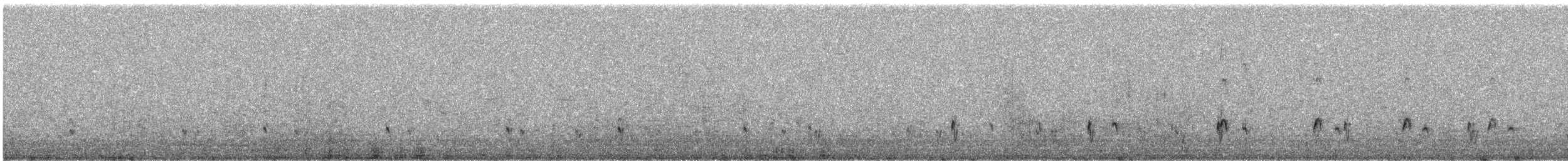 Silvery Grebe - ML626268588