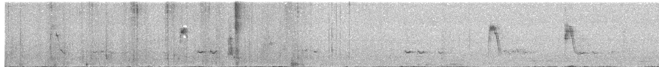 Burmese Shrike - ML626274964