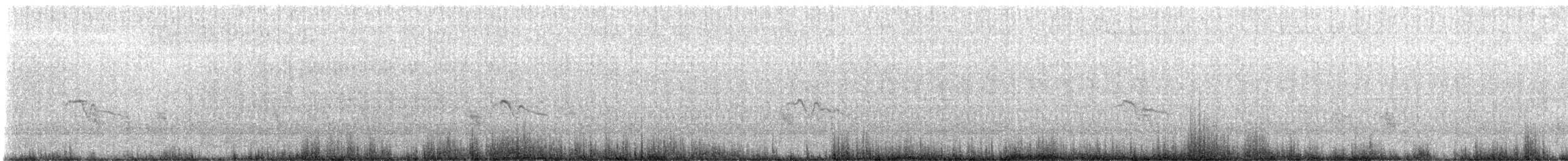 Papogorri siberiarra - ML626275549