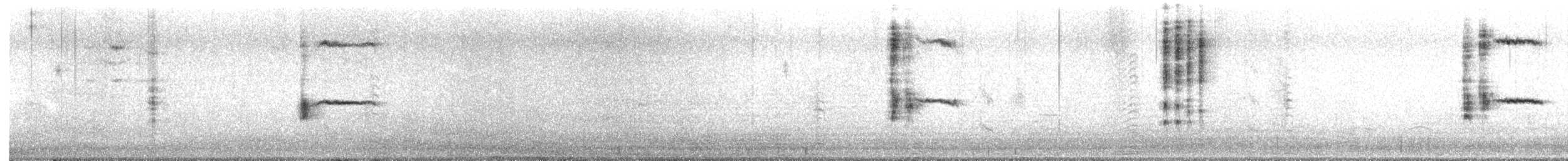Brewer's Blackbird - ML626277784