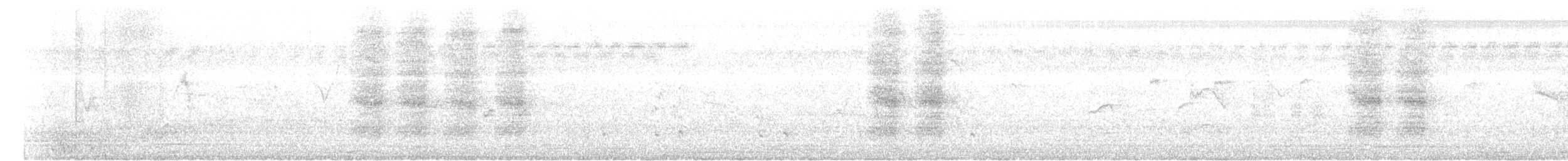 Racket-tailed Treepie - ML626282819