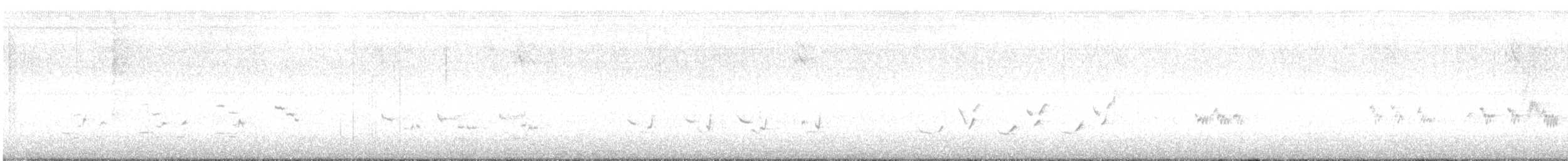 Northern Mockingbird - ML626288601