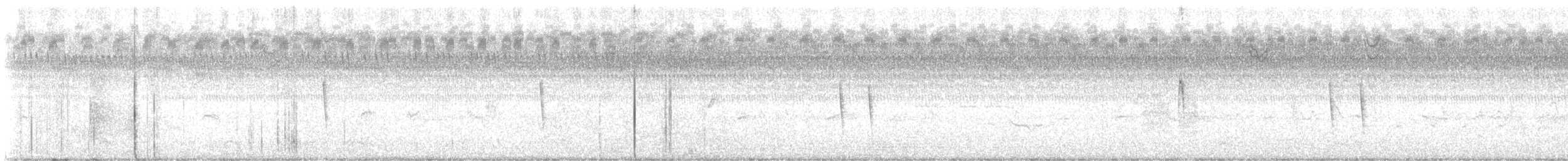 Sedge Wren - ML626294906