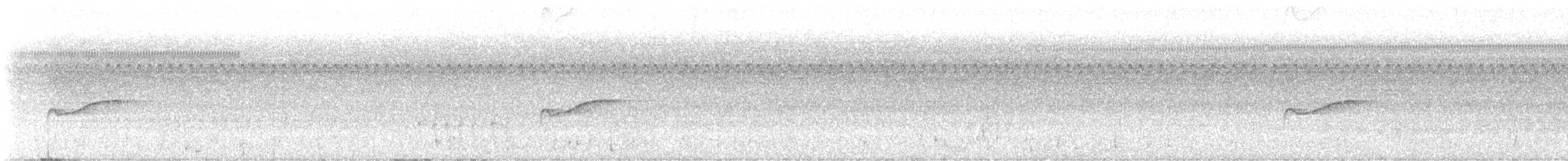 Doğulu Pivi - ML626296208