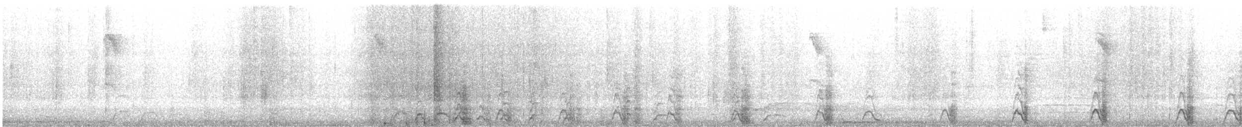 Yungas Guan - ML626296953