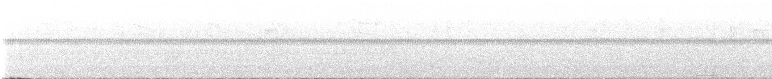 kentuckyparula - ML626296959