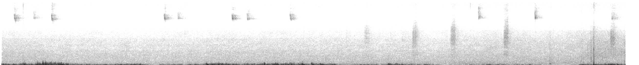 Talamanca Hummingbird - ML626299554