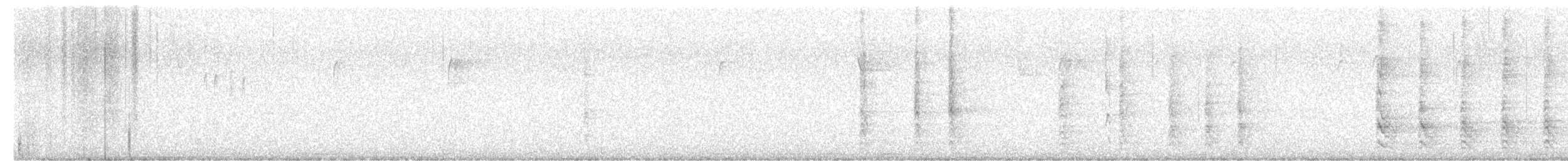 フユミソサザイ - ML626300179