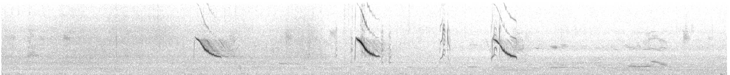 Australian Pipit - ML626304584