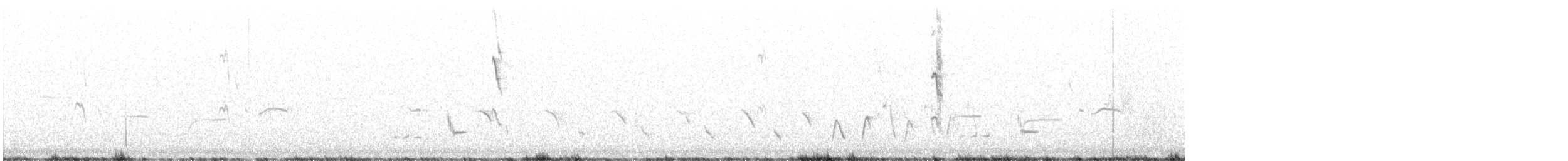 Noisy Scrub-bird - ML626316372