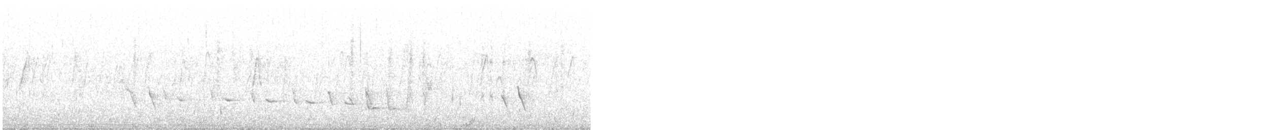 Noisy Scrub-bird - ML626316463