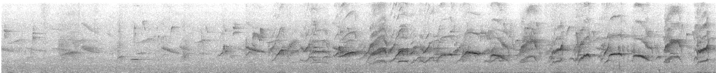 Slaty-headed Parakeet - ML626317182