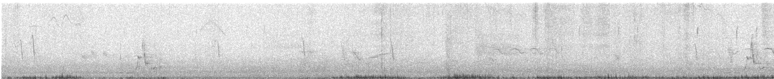 Манжуурын бутны сонд - ML626319319