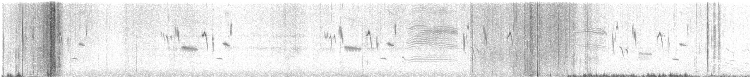 Hellmayr's Pipit - ML626319436