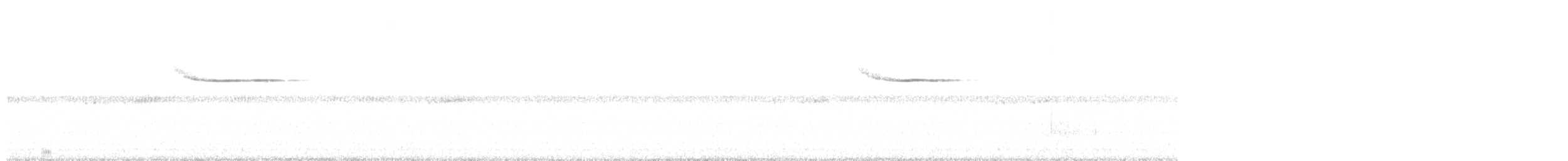 White-crowned Forktail (Northern) - ML626320671