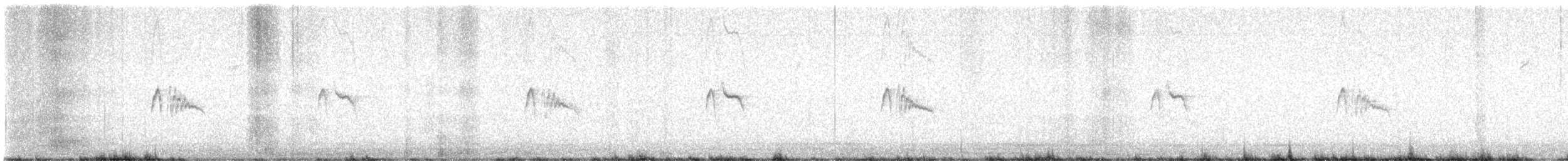 Black Phoebe - ML626342184