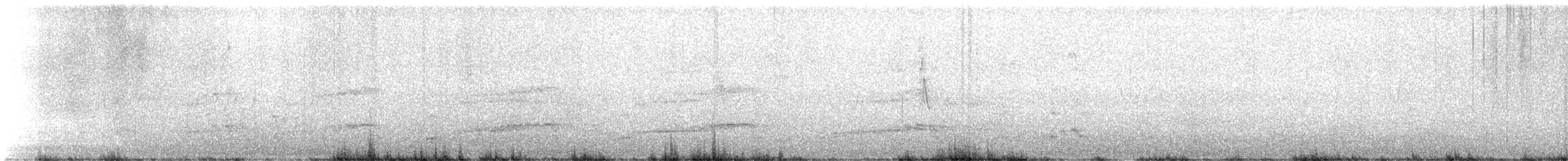 Yellow-eyed Penguin - ML626357171