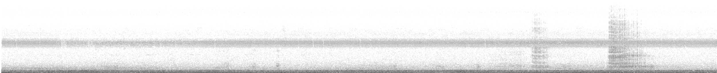 volavka bílá - ML626357737