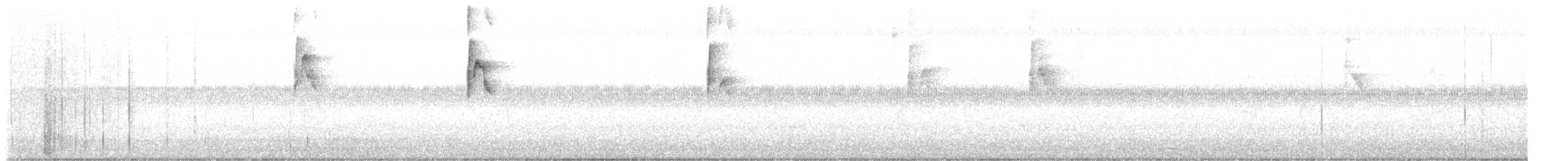 tyran obecný - ML626357795