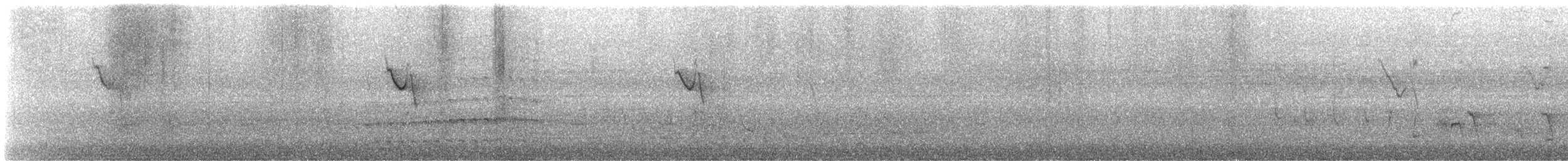 eukalyptushauk - ML626359309