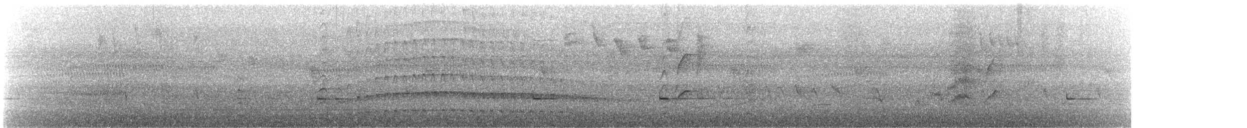 eukalyptushauk - ML626359395