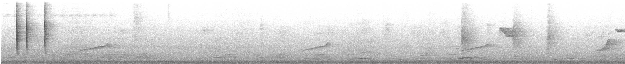 Hill Blue Flycatcher - ML626359931