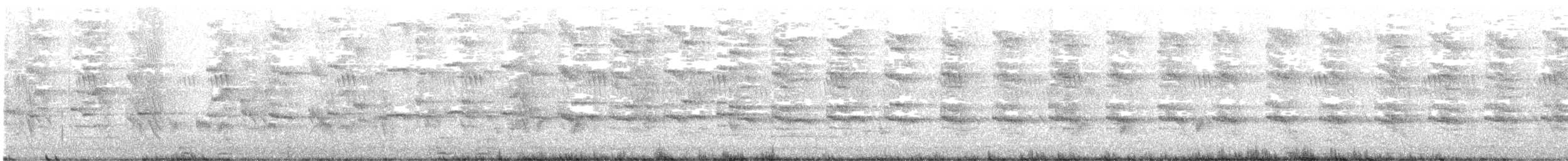 Râle à collier - ML626363020