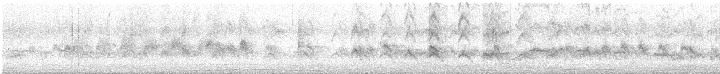 Horus Swift - ML626364429