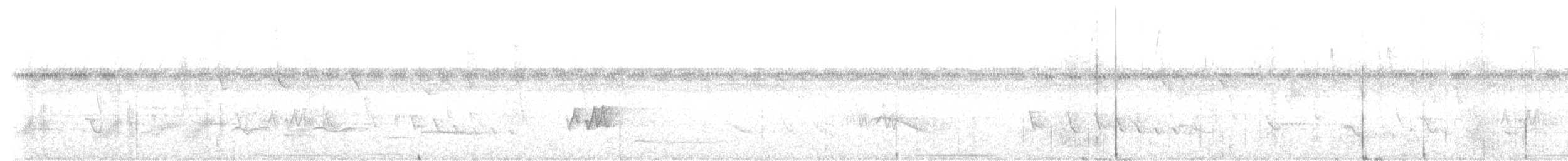 Black-tailed Tityra - ML626364530