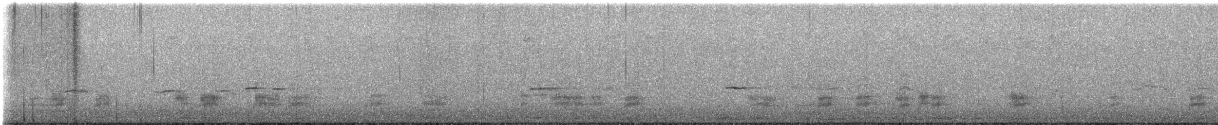 Gadwall - ML626366291