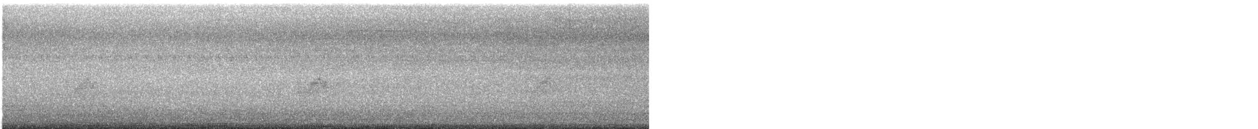 Savanna Nightjar (Sunda) - ML626366716