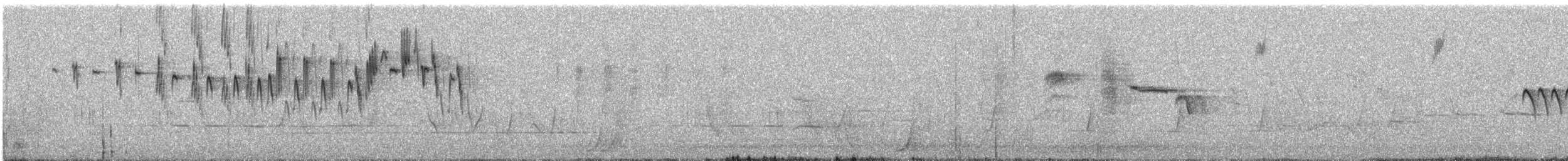 Southern Emuwren - ML626370031