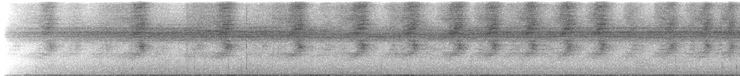 チャバラアメリカジカッコウ - ML626372858