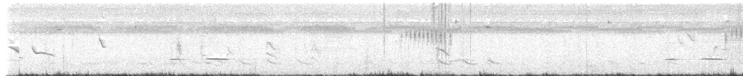 Striped Cuckoo - ML626373064