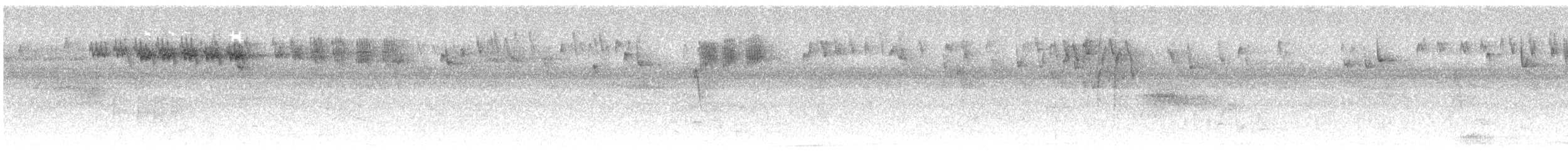 キクイタダキ - ML626373157