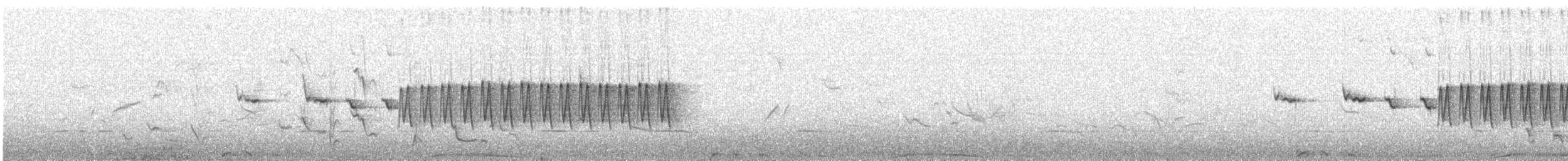 Mégalure des fourrés - ML626373597