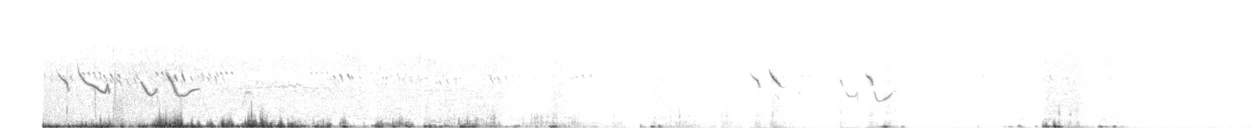 Cochevis de Malabar - ML626375247