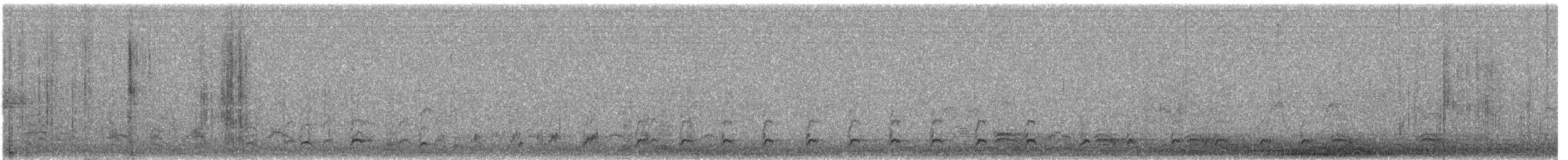 Aquila di mare - ML626375762