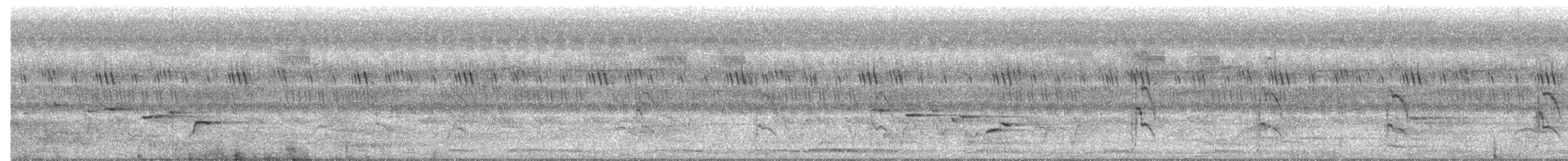 White-browed Fantail - ML626376766